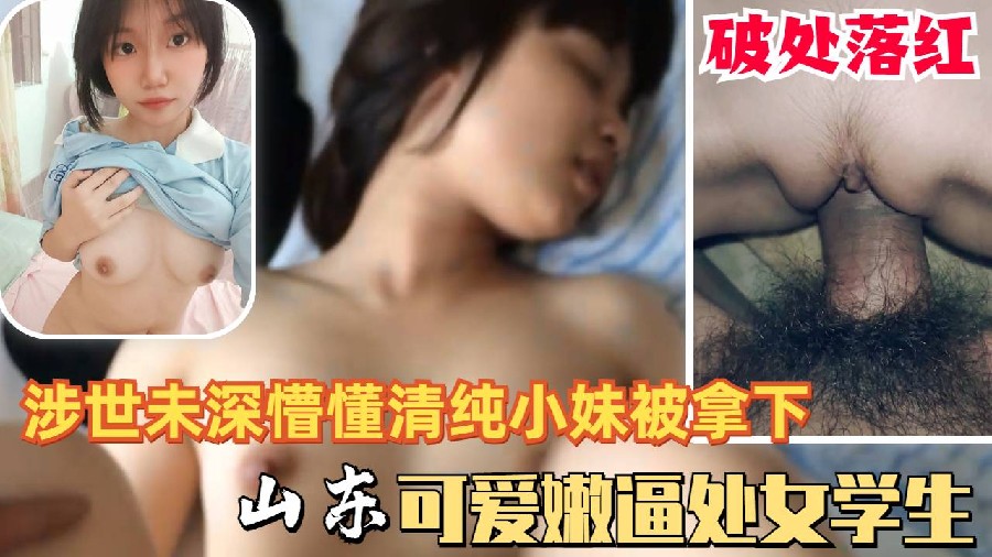 (一区)可爱懵懂清纯山东高中少女学生处女被拿下落红被猪拱的白菜